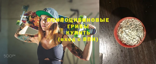 прущие грибы Протвино
