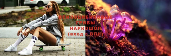 дживик Арсеньев
